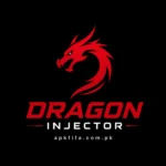 Dragon Injector APK