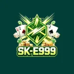 E999 Game